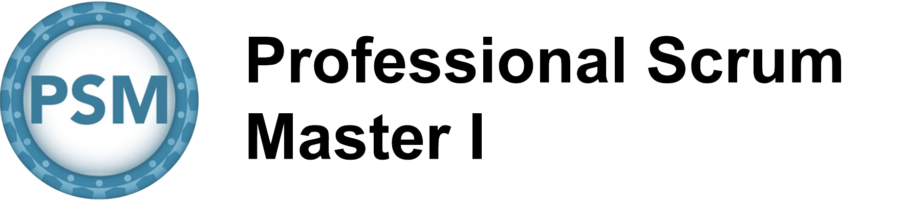 Professional Scrum Master